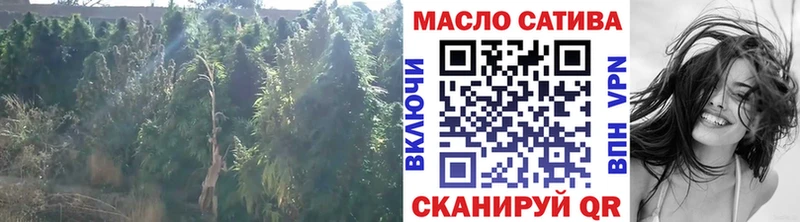 закладки  Оса  mega   Дистиллят ТГК THC oil 