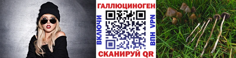 Псилоцибиновые грибы GOLDEN TEACHER  Оса 
